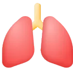 Lungs SVG Icon
